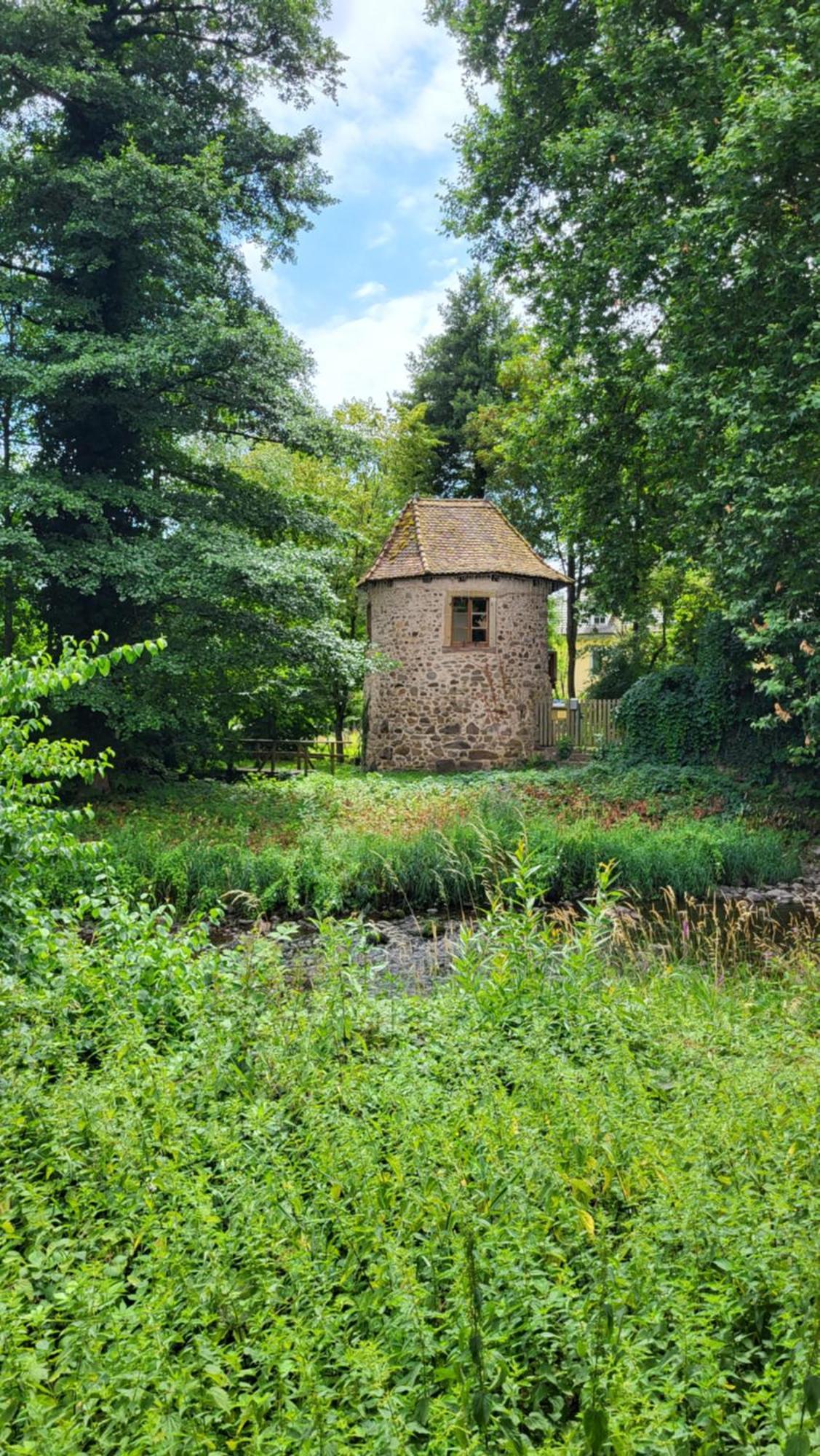 gite violette et pierrot Masevaux-Niederbruck Eksteriør bilde